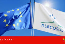 Acordo UE-Mercosul: raio X das exportações do agro brasileiro para o bloco europeu