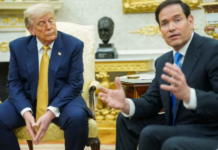 Trump lança oficialmente ‘Conselho da Paz’ em Davos com críticas à ONU: ‘Eu nunca nem falei com eles’