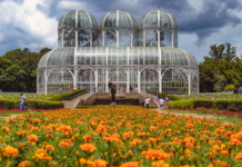 Verão em Curitiba: turismo, cultura e diversão por toda a cidade